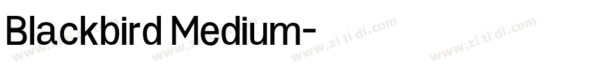 Blackbird Medium字体转换
